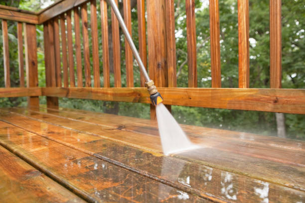 Animal Enclosure Cleaning in Kewaunee, WI